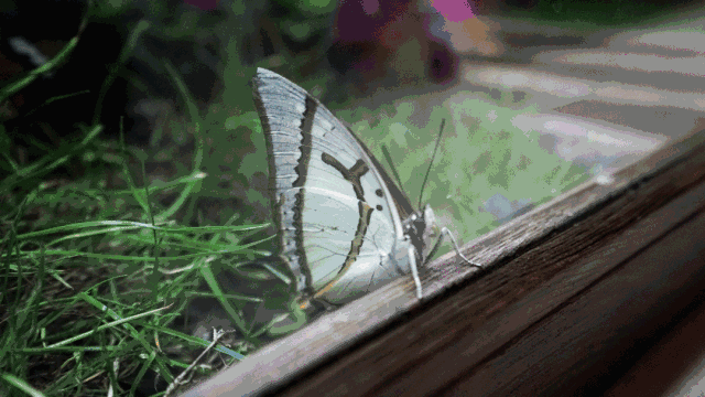 从不让人失望！惊喜k11再次引爆魔都潮男潮女